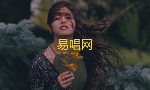 萤火自瞄透视辅助器下载安装易唱网